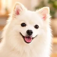 LULU INU logo