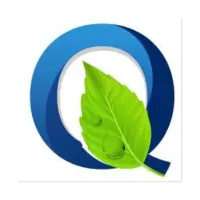 Q FLOW logo